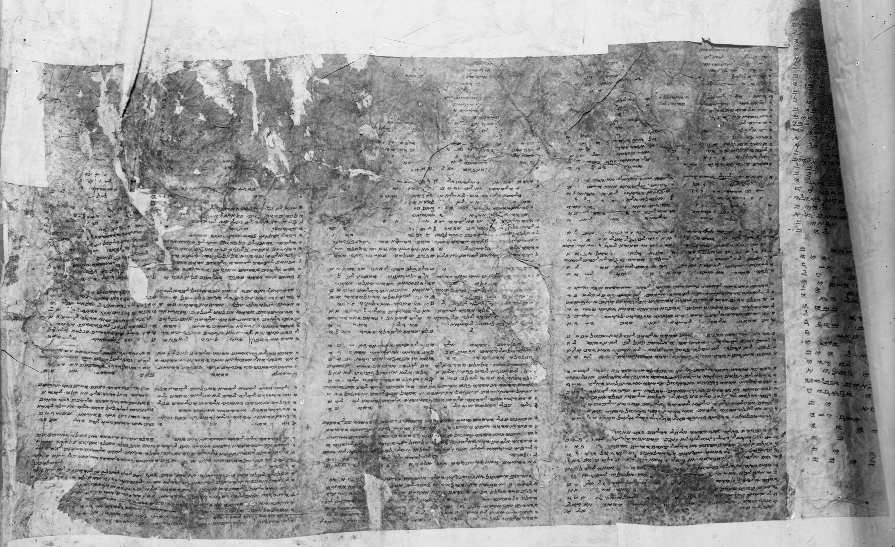 Photographie historique d’un détail du Pentateuque samaritain à Naplouse.